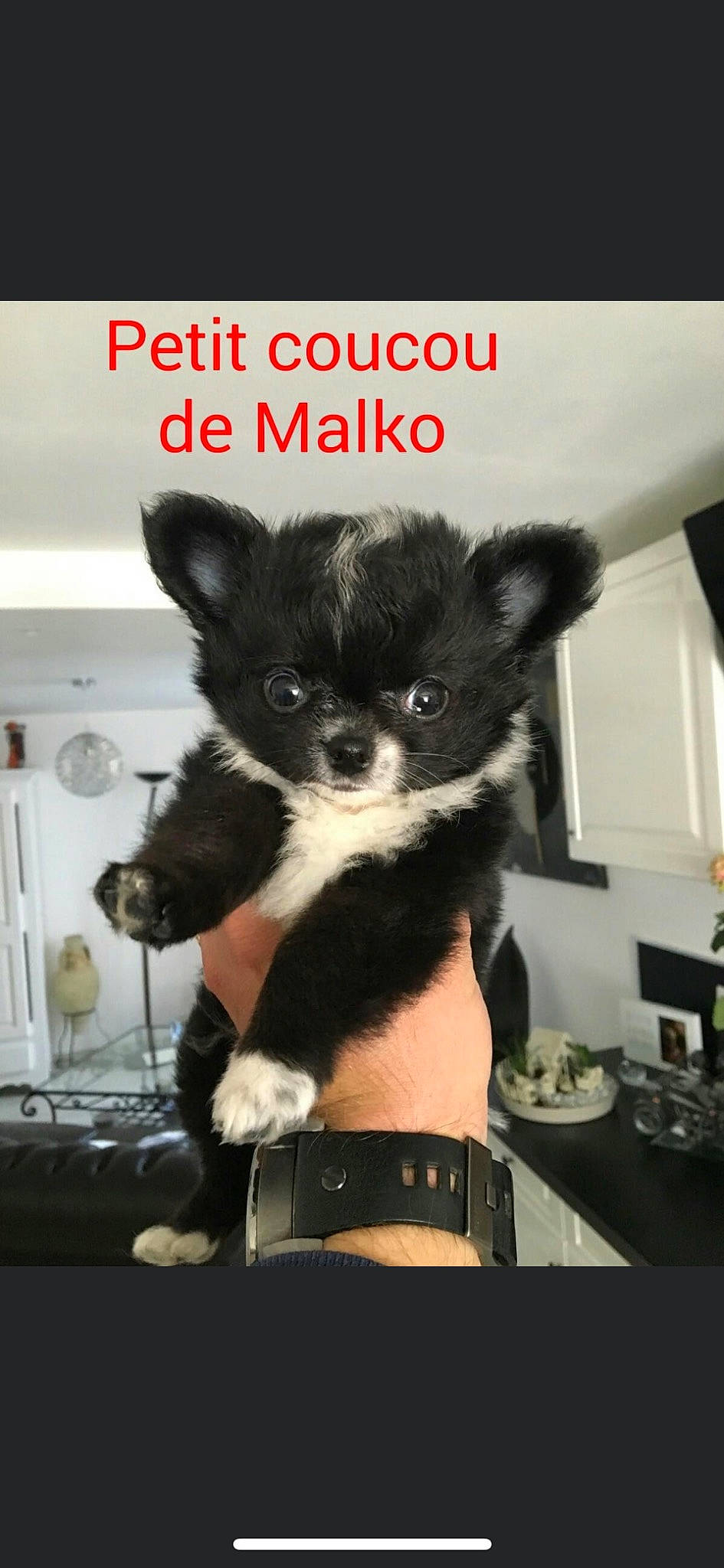 Malko