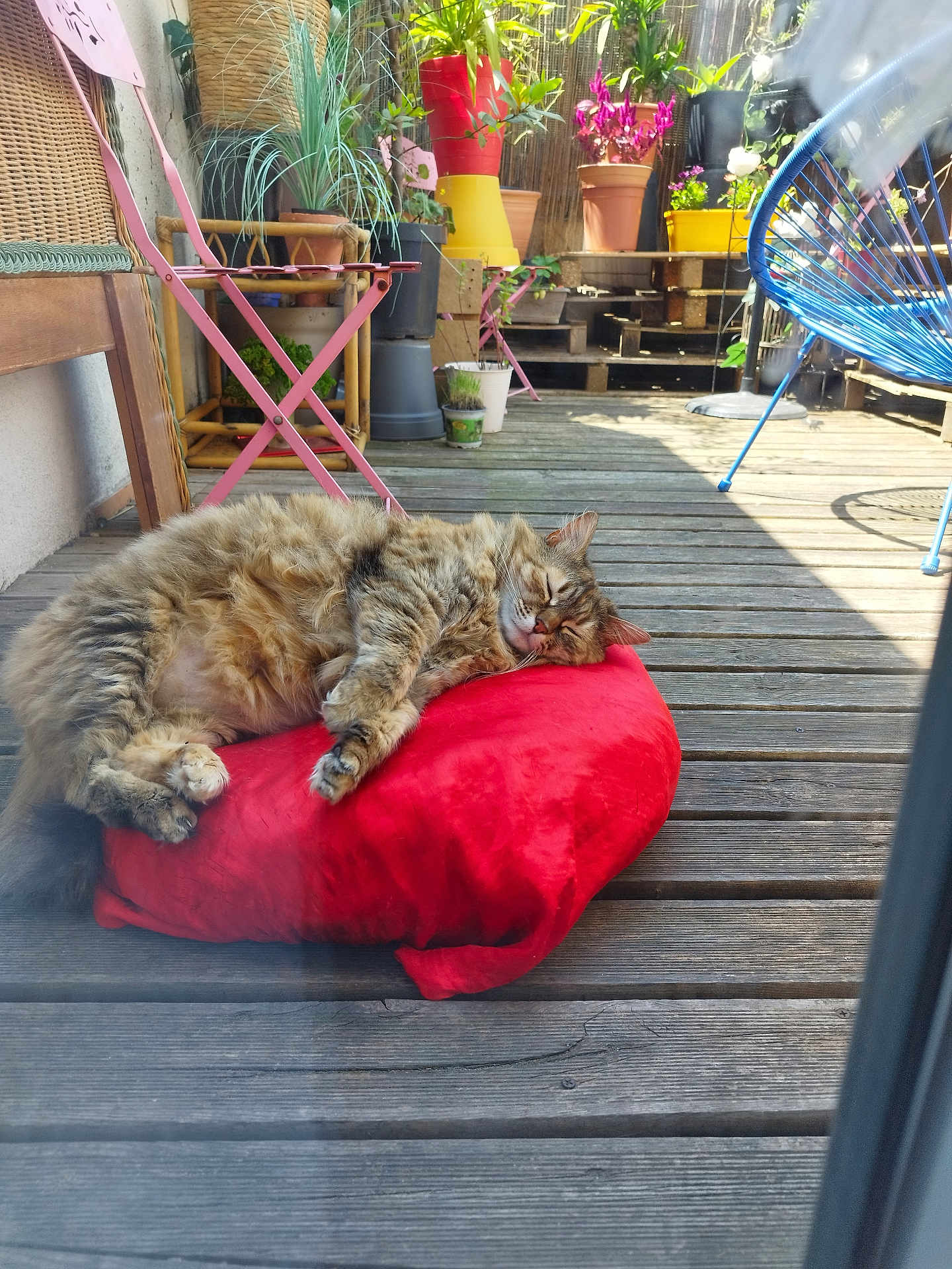 Muki