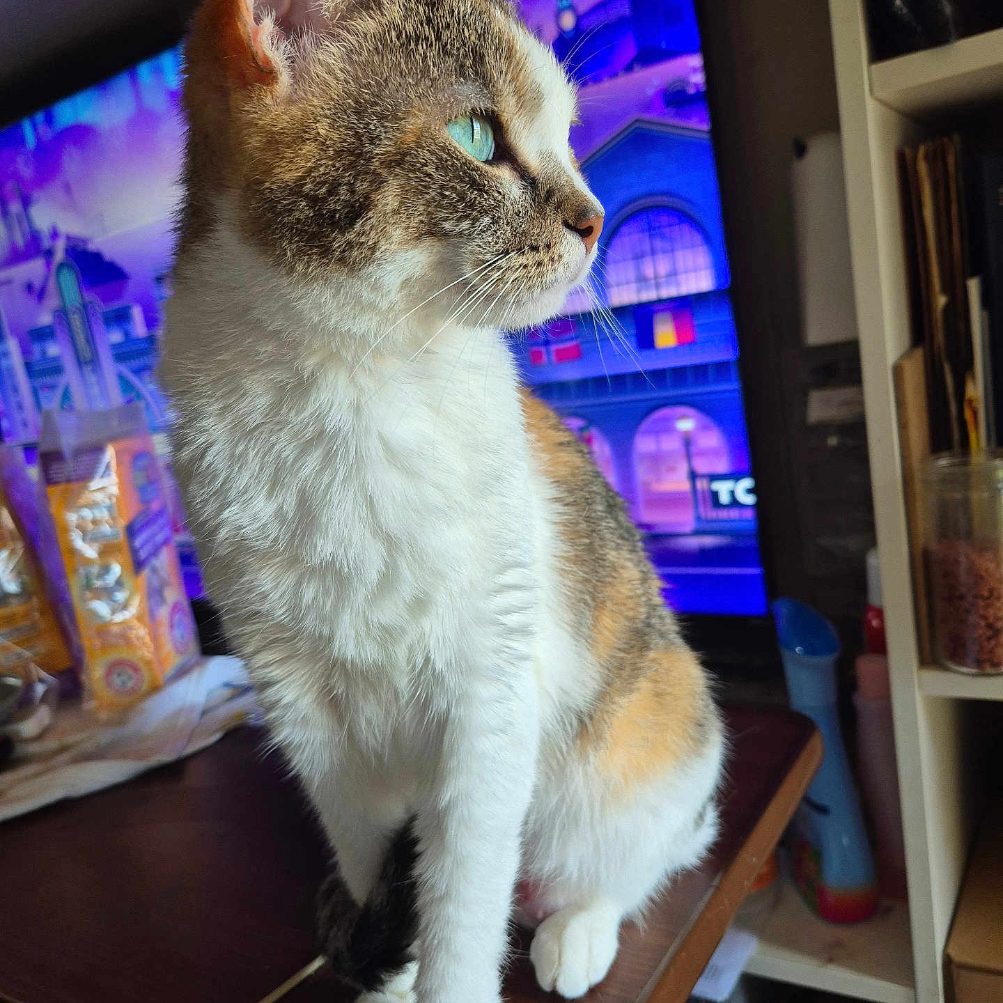 Gizzy