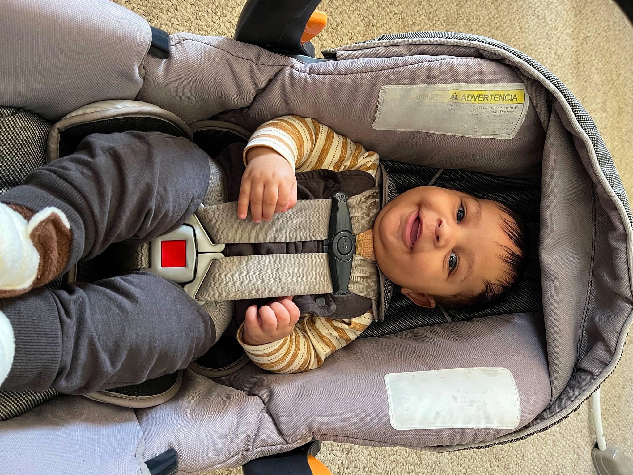 Zakari joined the competition — help win amazing prizes! auto_part, baby, baby_carriage, baby_products, baby_toddler_clothing, car_seat, child, comfort, facial_expression, fun, gesture, grass, joy, lap, luxury_vehicle, person, sitting, smile, tire, toddler