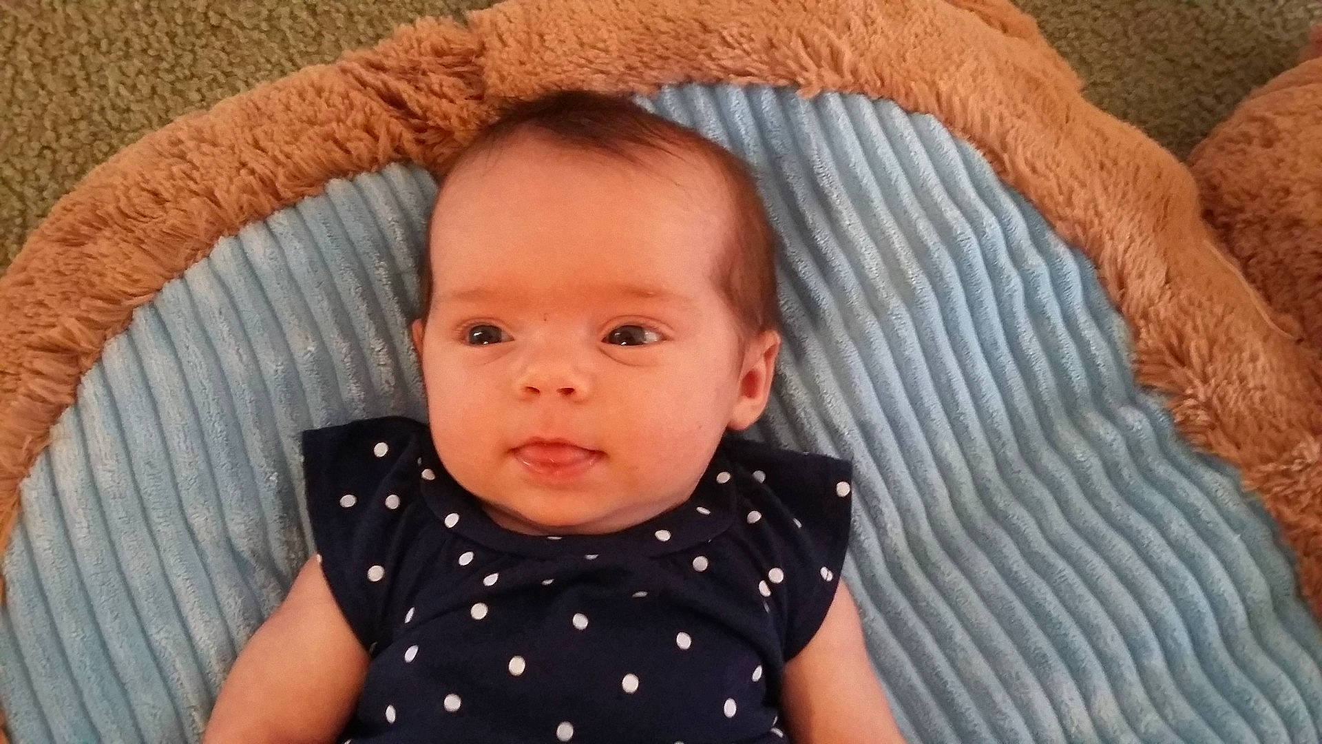 London Donald joined the competition — help win amazing prizes! cheek, child, day, ear, eye, head, infant, mouth, nose, person, product, toddler