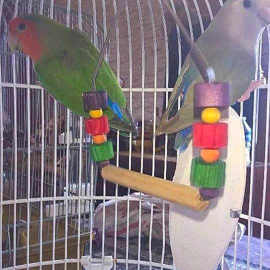 Romeo Et Juliette