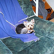 émie a rejoint le concours — aidez-le/la à gagner de superbes lots !