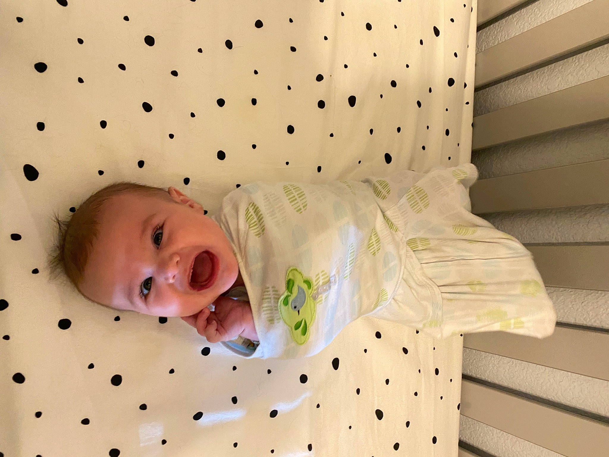 Archibald is registered to the contest to win money with this photo: baby, baby_products, baby_safety, baby_toddler_clothing, bed, bedding, child, comfort, cradle, infant_bed, linens, nursery, pattern, person, product, room, skin, smile, textile, toddler