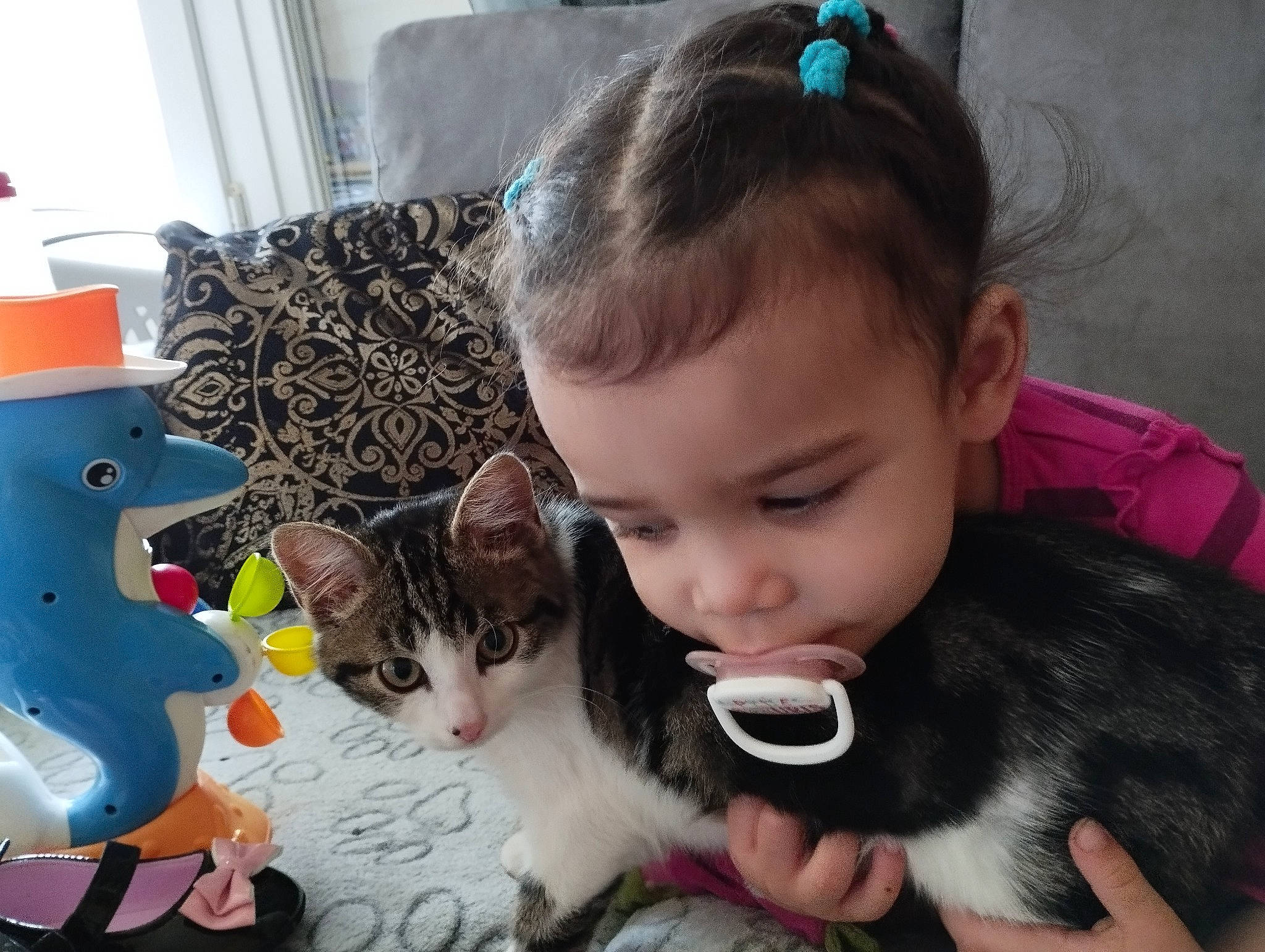 Théanna a rejoint le concours — aidez-le/la à gagner de superbes lots ! carnivore, cat, child, domestic_short_haired_cat, ear, felidae, fur, goggles, happy, iris, lap, person, plant, play, small_to_medium_sized_cats, sunglasses, tail, toddler, toy, tree