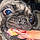 Pepe