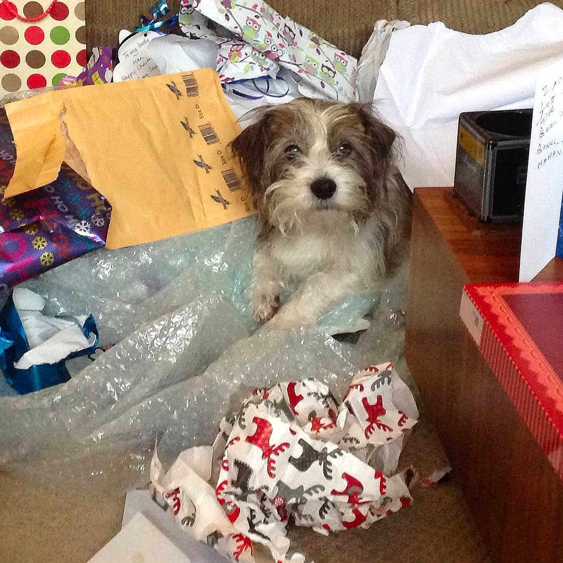 Benji is registered to the contest to win money with this photo: