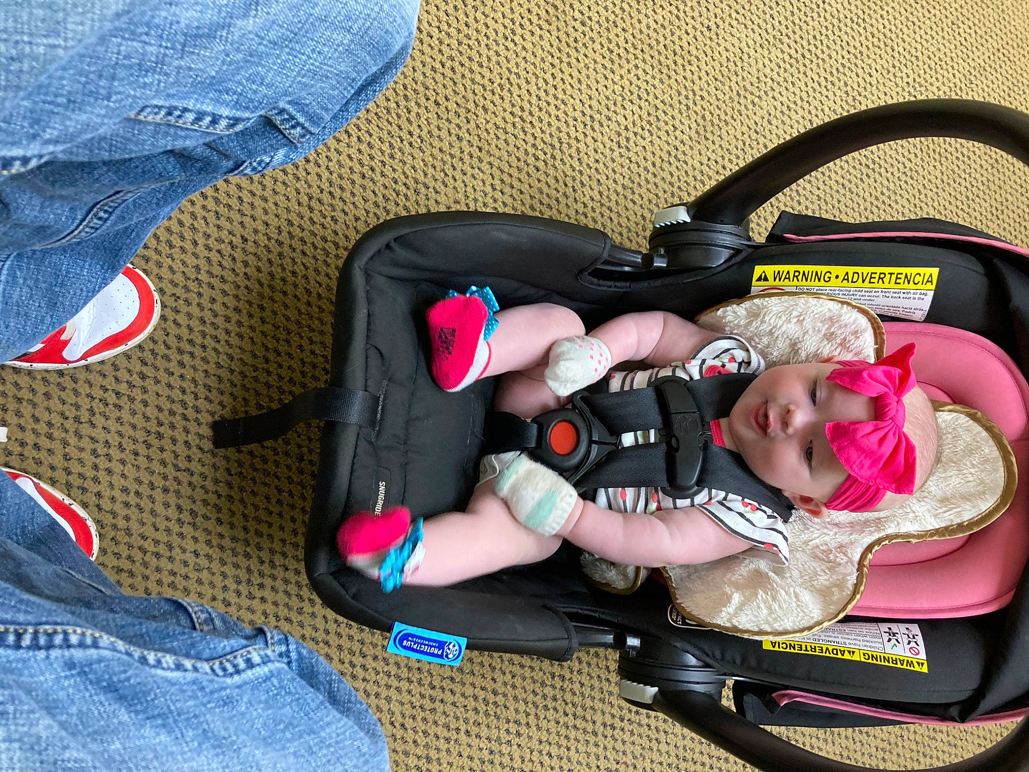 Pheobe joined the competition — help win amazing prizes! auto_part, baby, baby_carriage, baby_products, baby_safety, baby_sleeping, baby_toddler_clothing, bag, baggage, car_seat, carmine, child, comfort, electric_blue, fashion_accessory, headwear, infant_bed, lap, luggage_and_bags, person