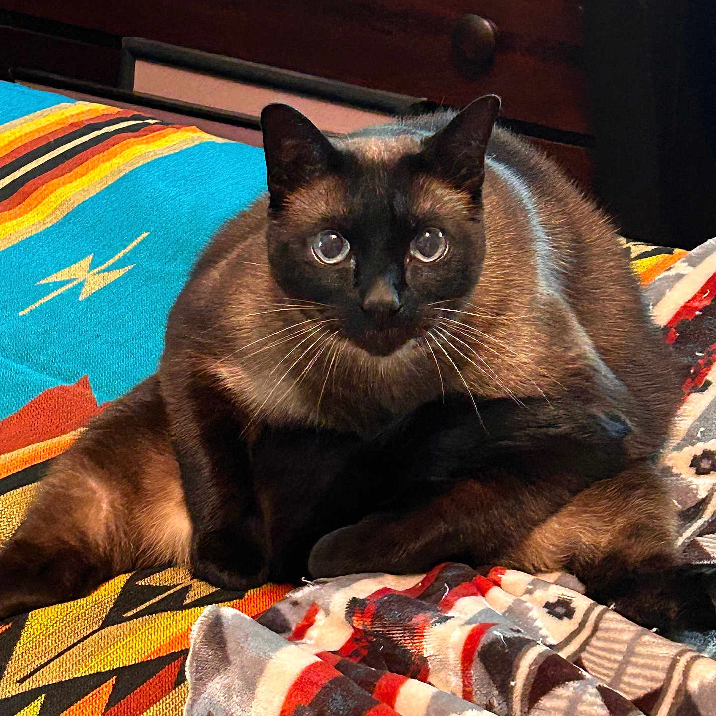 Miso
