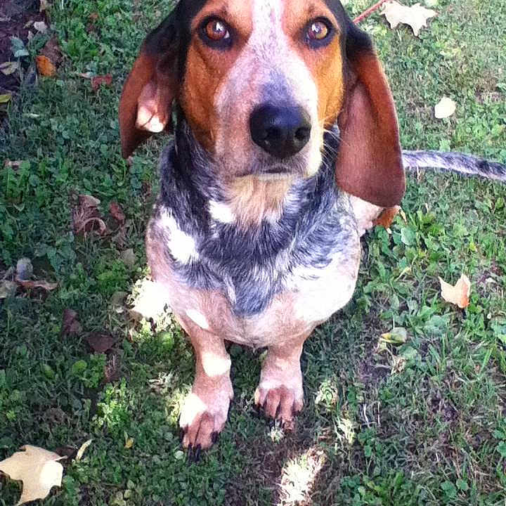 Midas joined the competition — help win amazing prizes!