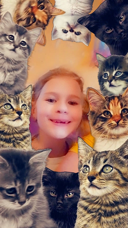 Eva a rejoint le concours — aidez-le/la à gagner de superbes lots ! carnivore, cat, collage, facial_expression, fawn, felidae, fur, gesture, groundcover, happy, iris, joy, mammal, person, photograph, small_to_medium_sized_cats, smile, snapshot, snout, vertebrate