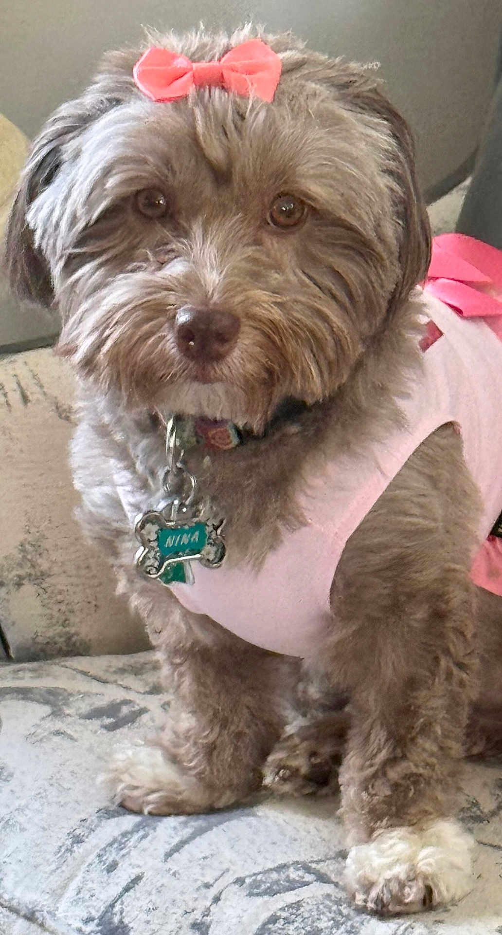 Nina