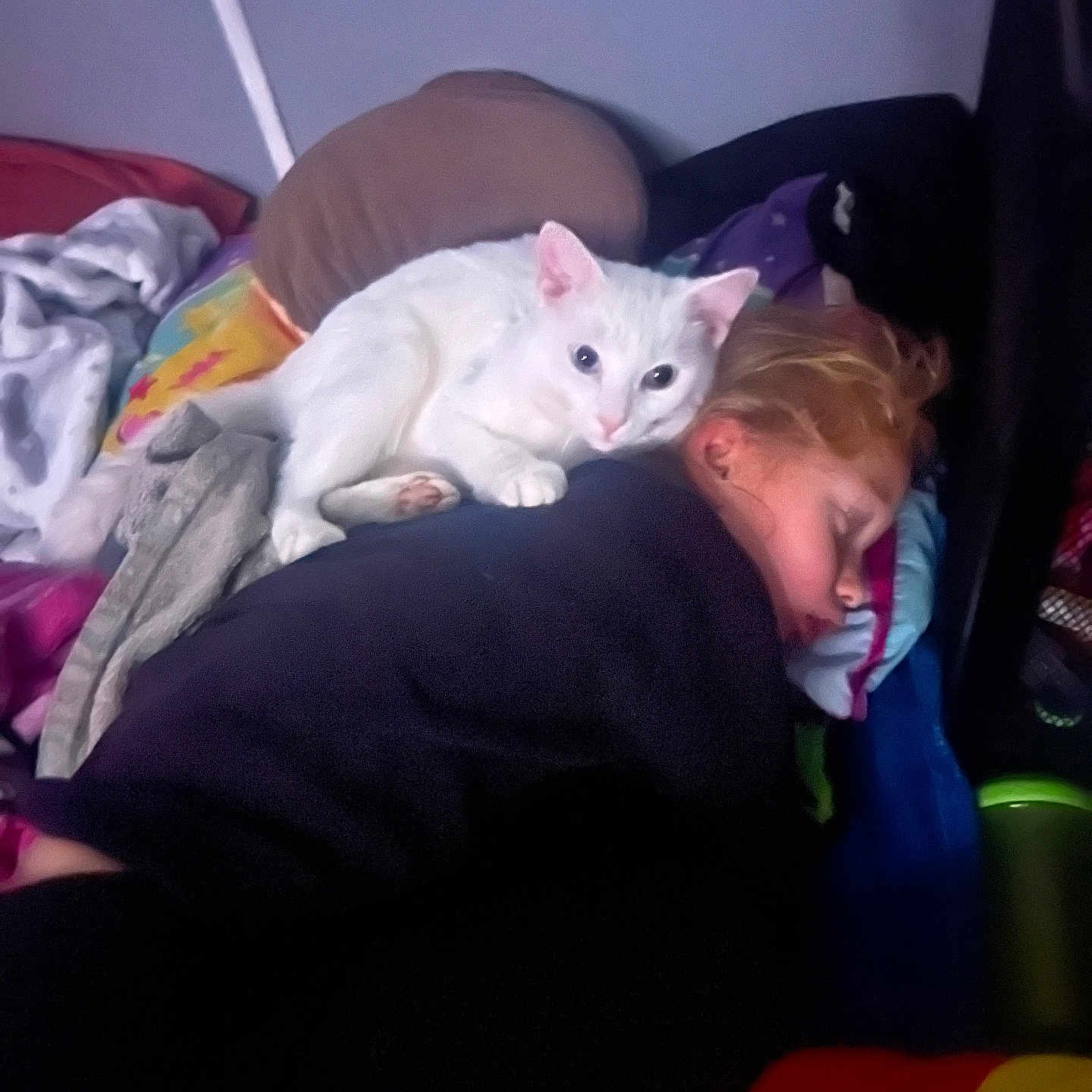 Casper