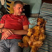 Coconut Beauty participe au concours pour gagner de l'argent avec cette photo : belly_up, blanket, companionship, couch, dog, fluffy, golden_fur, golden_retriever, indoor, jeans, living_room, man, person, pet, pillows, portrait, red_shirt, relaxed, sleeping, sofa