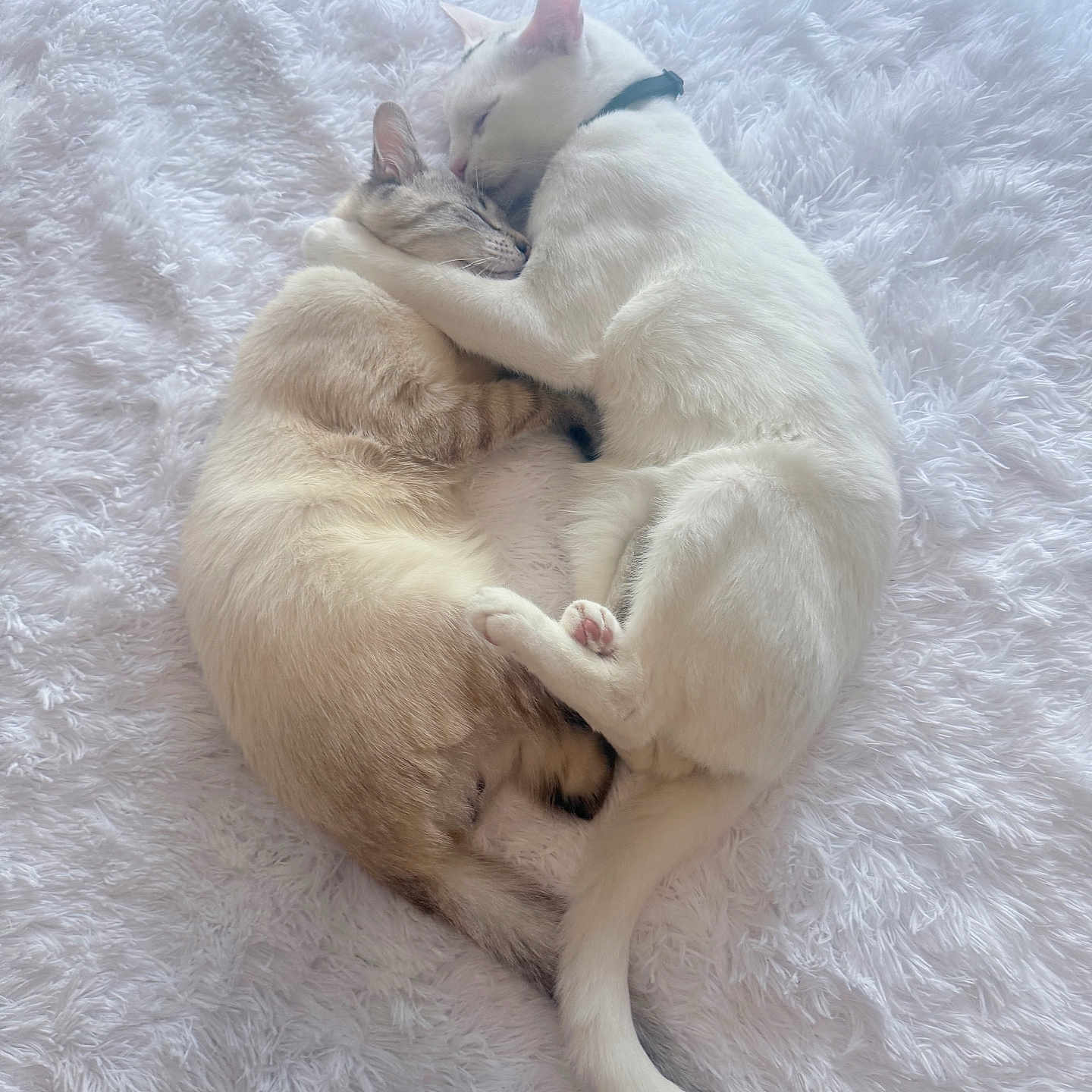Alkaline And Archer