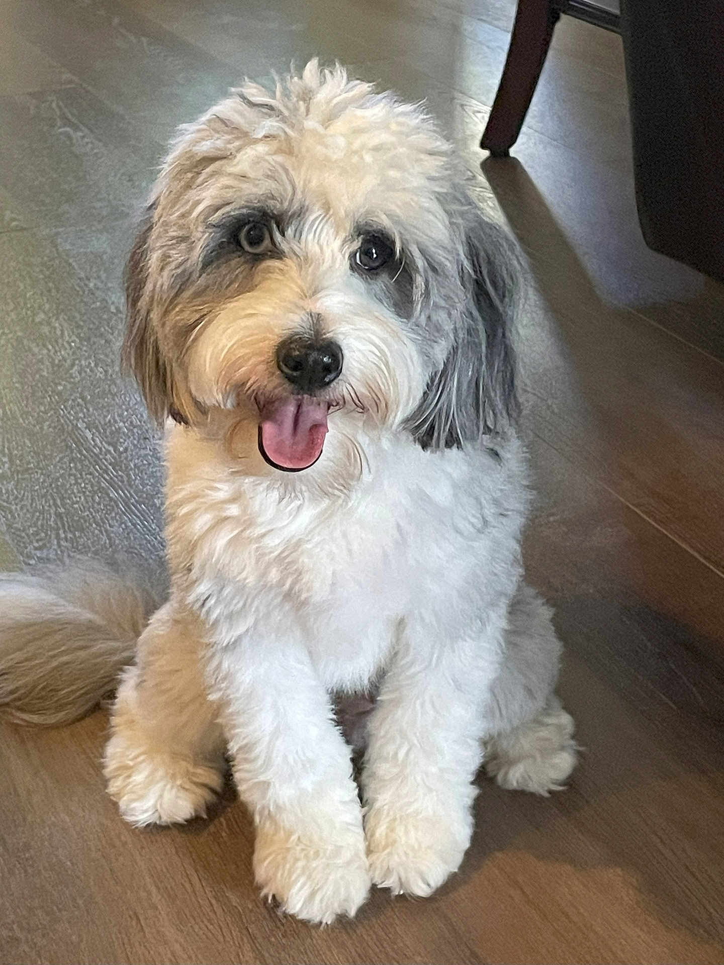 Kobi