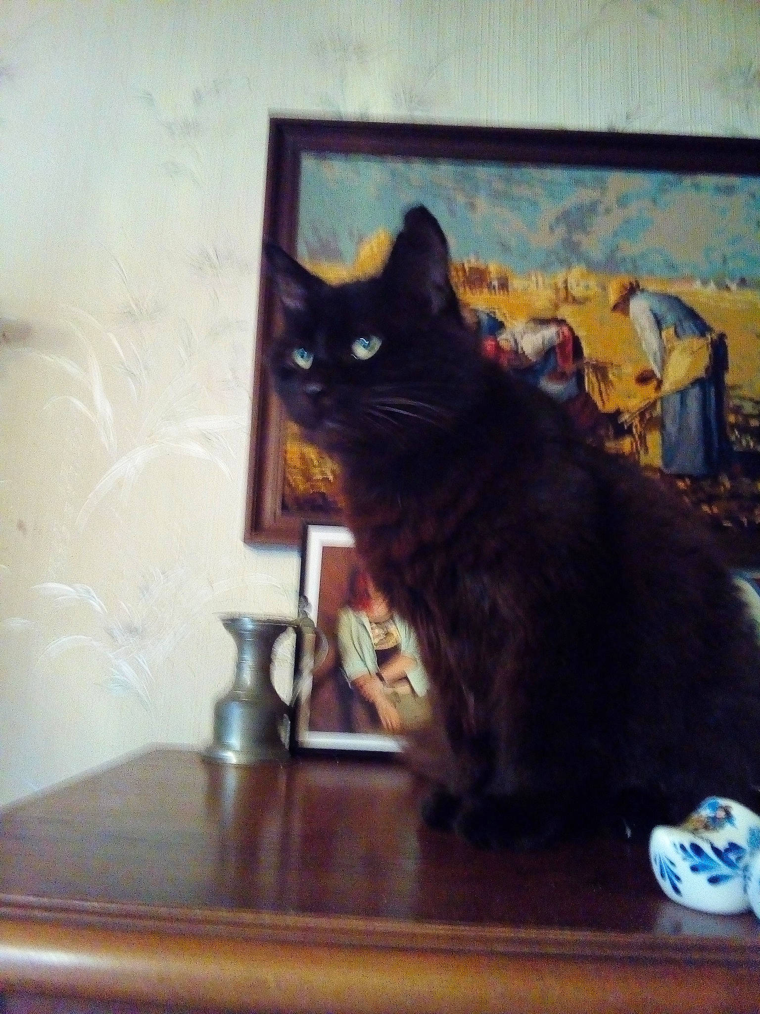 Matou a rejoint le concours — aidez-le/la à gagner de superbes lots ! asian, black_cat, bombay, carnivore, cat, domestic_short_haired_cat, european_shorthair, felidae, kitten, polydactyl_cat, room, small_to_medium_sized_cats, tail, whiskers