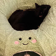 Binx is registered to the contest to win money with this photo: black_cat, cat, pet_bed, green, soft, cozy, smiling_face, pom_pom, animal, indoor, curled_up, resting, cute, feline, fur, snug, toy, playful, comfortable, cute_pet