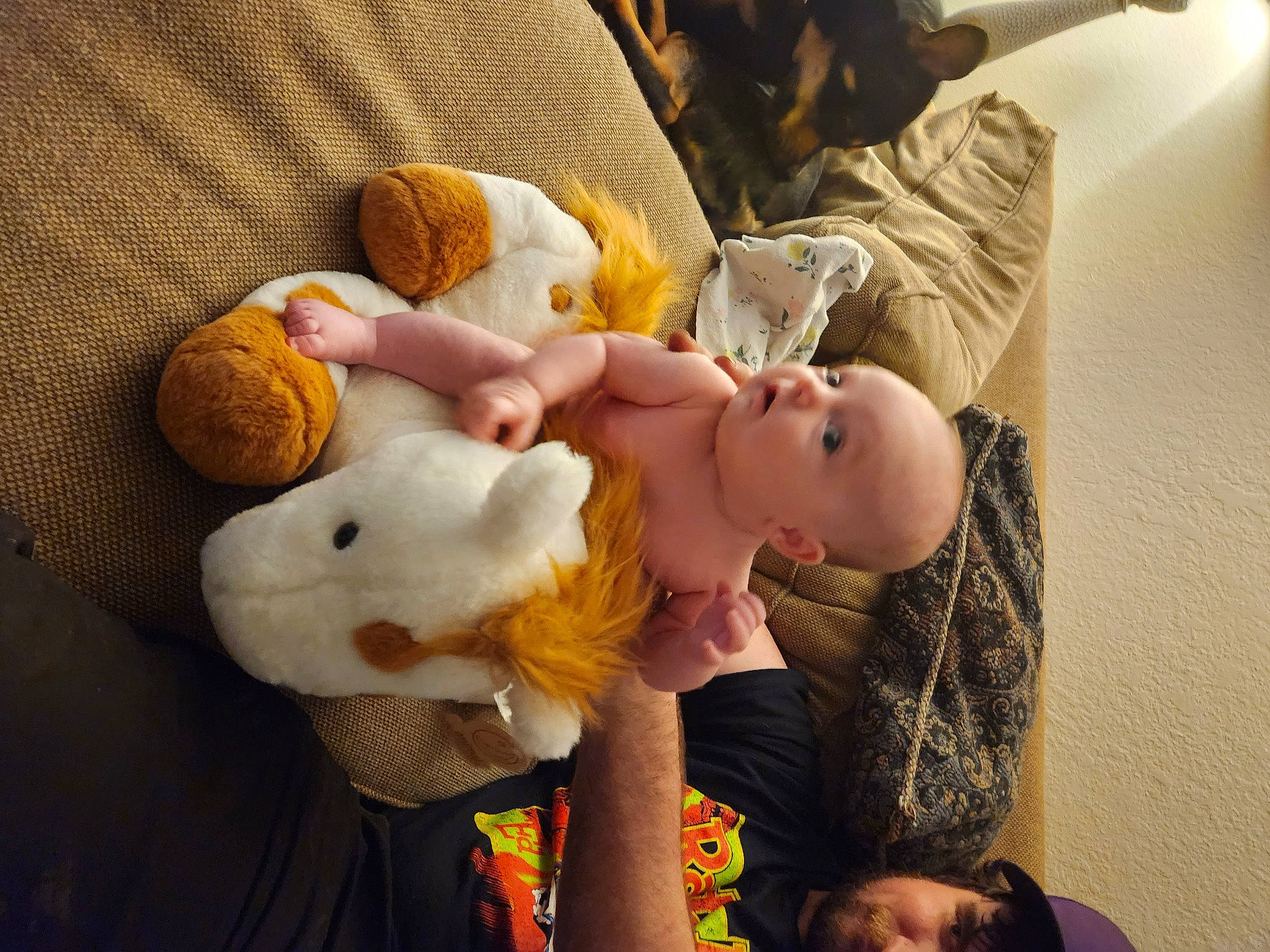 Julie is registered to the contest to win money with this photo: abdomen, baby, baby_products, baby_sleeping, baby_toys, child, comfort, ear, fur, happy, person, plush, room, skin, stuffed_toy, teddy_bear, toddler, toy, yellow