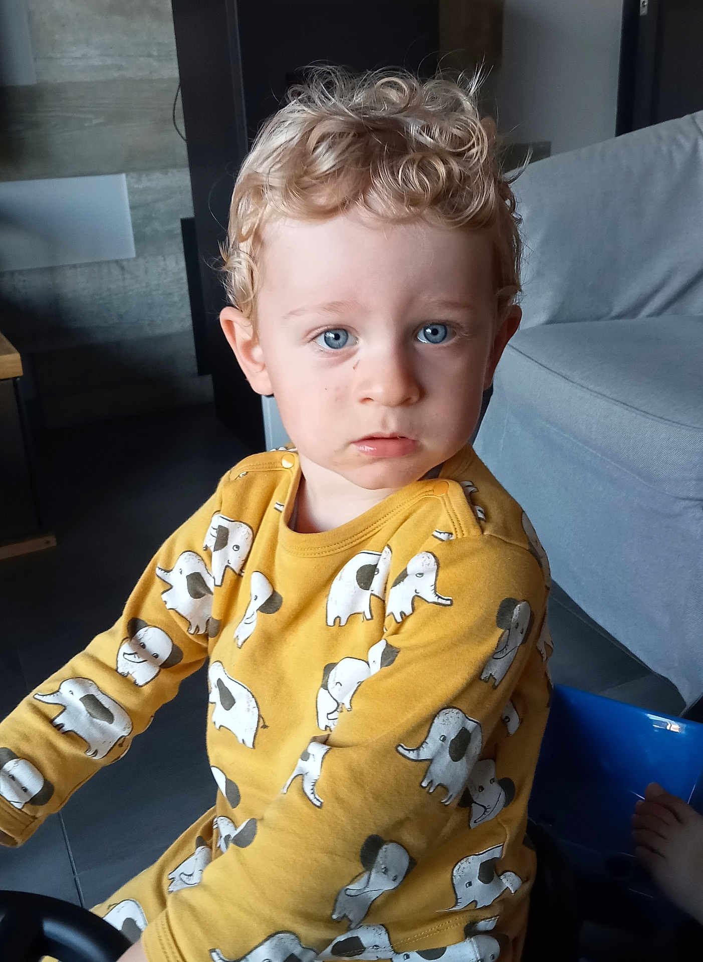 Manoé a rejoint le concours — aidez-le/la à gagner de superbes lots ! child, toddler, curly_hair, blue_eyes, yellow_shirt, elephant_print, indoor, sofa, furniture, person, portrait, casual_clothing, cute, young_child, seated, floor, light, expression, modern_interior, curiosity