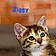 Ziggy