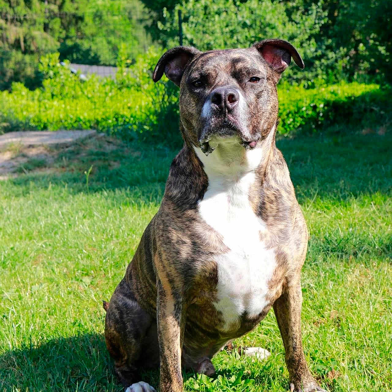 Max