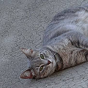 Canelle participe au concours pour gagner de l'argent avec cette photo :