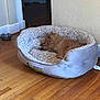 dog, pet_bed, sleeping, wooden_floor, indoor, cozy, small_dog, brown_dog, fur, resting, animal, home, quiet, peaceful, corner, water_bowl, comfort, relaxation, furniture, wall