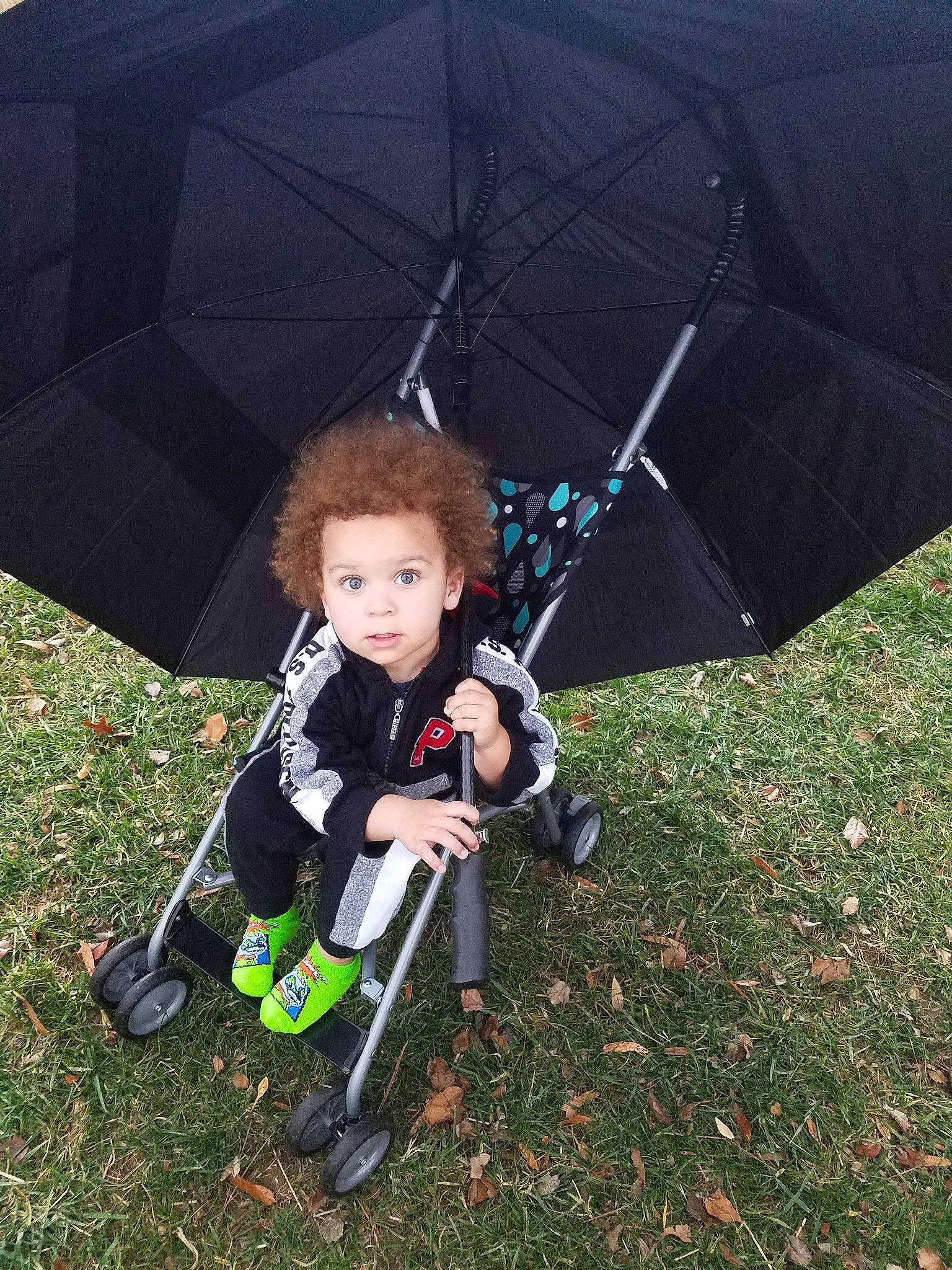 Kamari is registered to the contest to win money with this photo: child, fashion_accessory, grass, leaf, person, photography, plant, play, product, sky, toddler, tree, umbrella