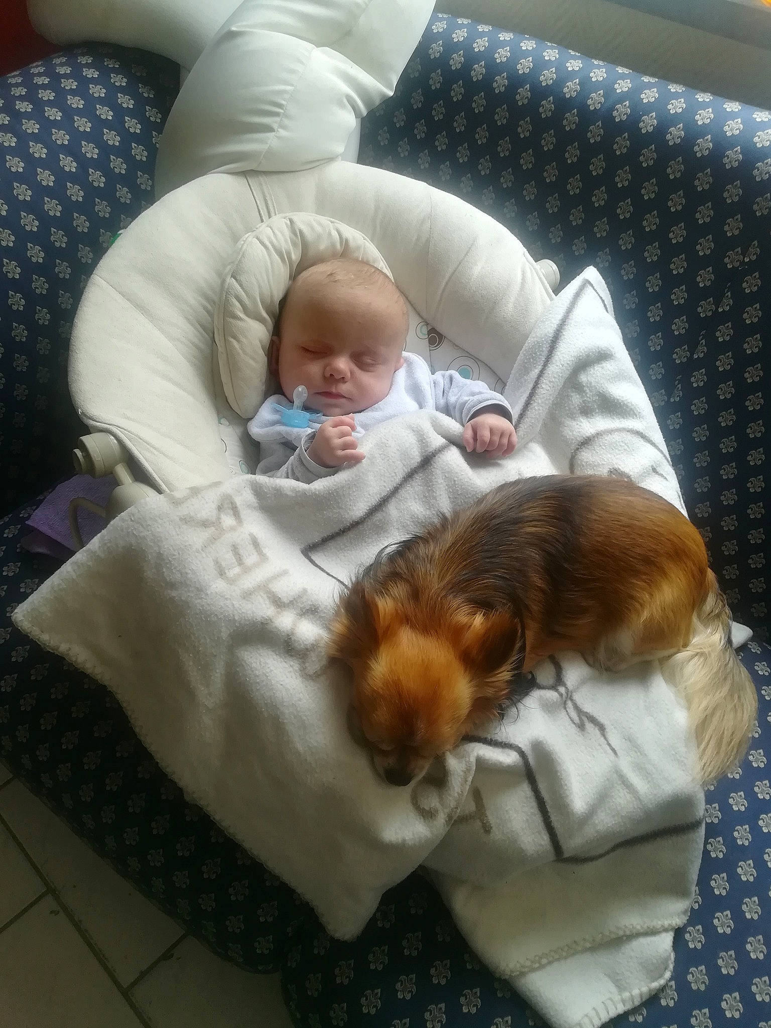 Kévin a rejoint le concours — aidez-le/la à gagner de superbes lots ! baby, birth, child, comfort, companion_dog, nap, person, sleep