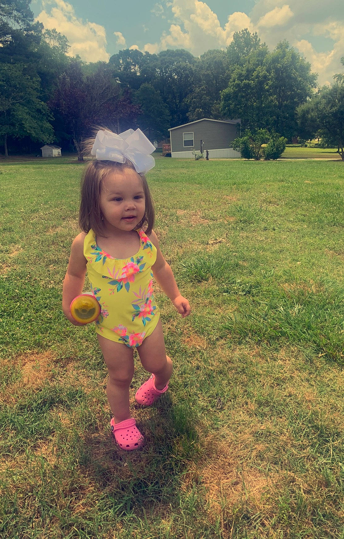 Ansleigh is registered to the contest to win money with this photo: child, dress, grass, grass_family, green, happy, leaf, meadow, people_in_nature, person, photography, pink, plant, skin, sky, smile, spring, summer, sunlight, toddler
