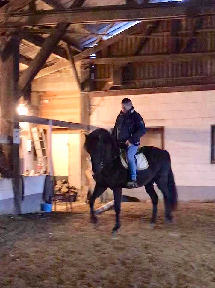 Fortachon participe au concours pour gagner de l'argent avec cette photo : animal_sports, bridle, dressage, english_riding, equestrian_sport, equestrianism, equitation, halter, horse, horse_supplies, horse_tack, mammal, mane, mare, pack_animal, recreation, rein, saddle, stallion, western_riding