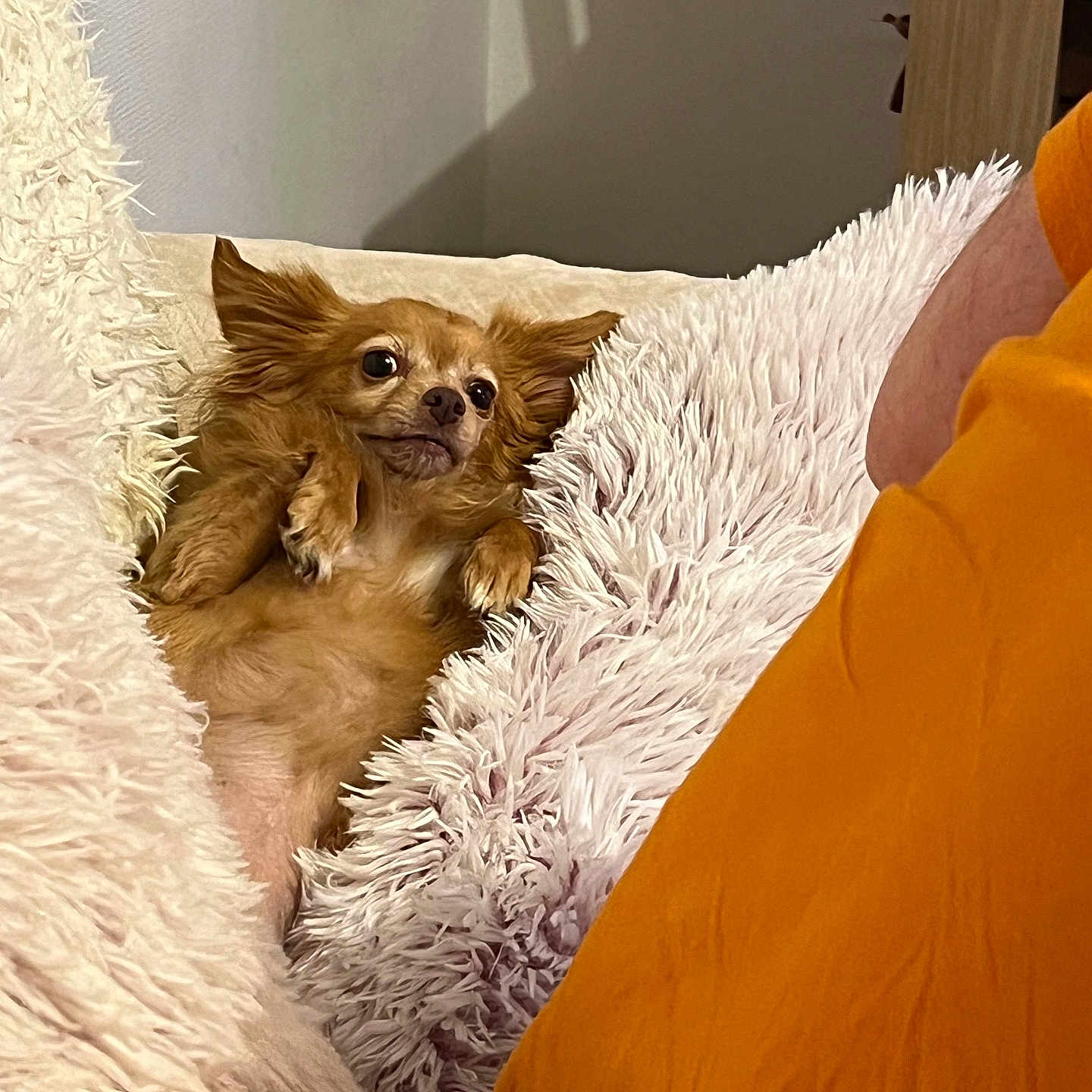 Louna