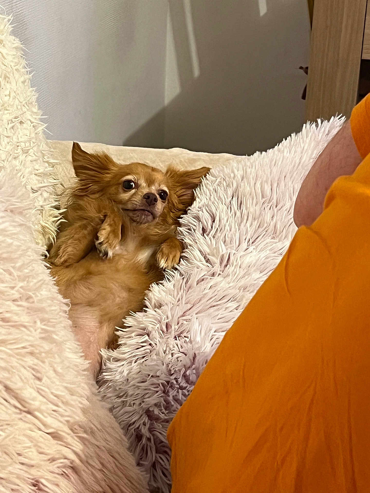 Louna