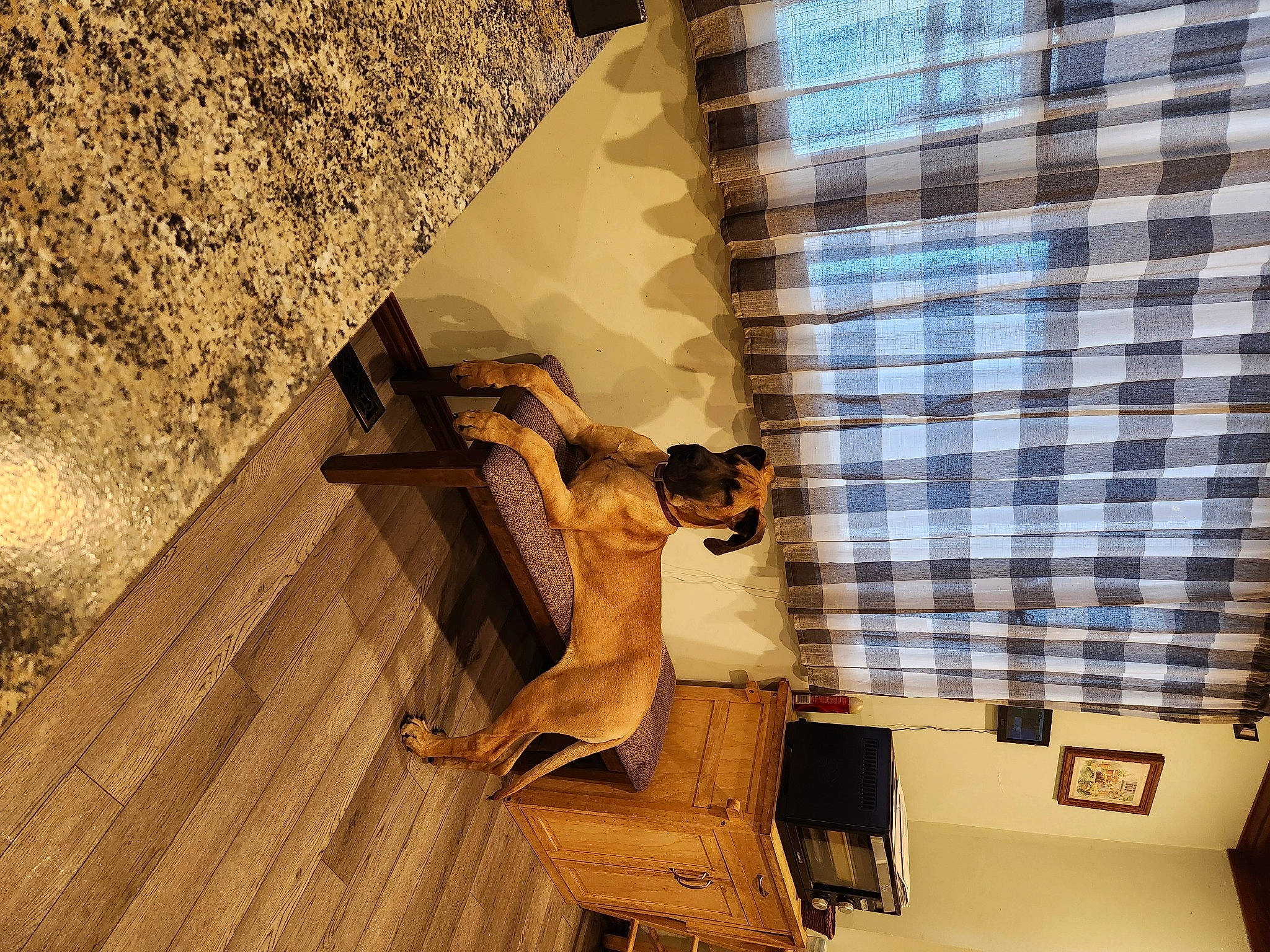 Sadie joined the competition — help win amazing prizes! art, building, daylighting, facade, flooring, house, landscape, monument, pattern, plaid, roof, room, sculpture, shade, shadow, stairs, tints_and_shades, visual_arts, wood