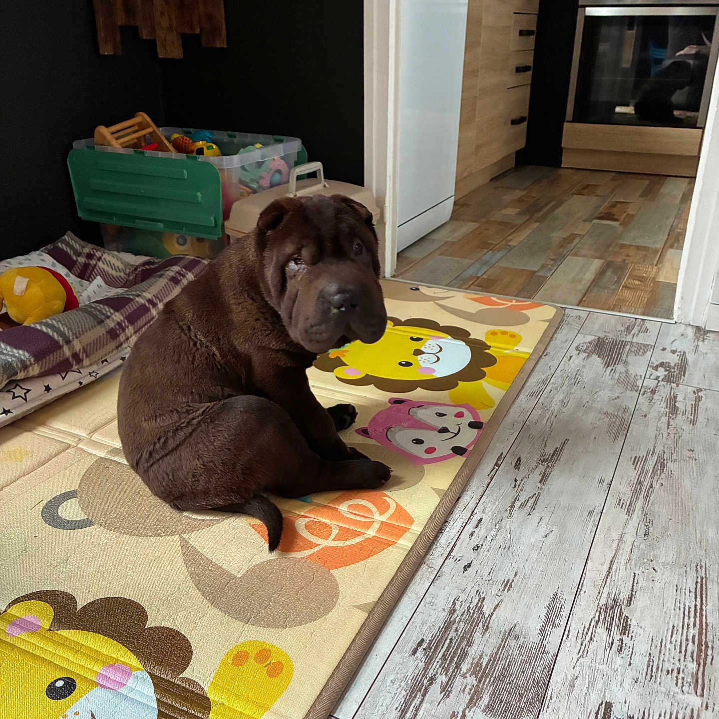 Bao