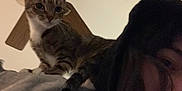 Johanna joined the competition — help win amazing prizes! cat, person, hoodie, indoor, ceiling_fan, tabby_cat, shoulder, hair, face, blur, casual, pet, animal, feline, brown, white, light, shadow, closeup, portrait