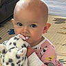 baby, child, plush_toy, cow, pajamas, floor, indoor, carpet, cute, young_child, person, face, hand, sitting, toy, animal_pattern, home, infant, portrait, chewing