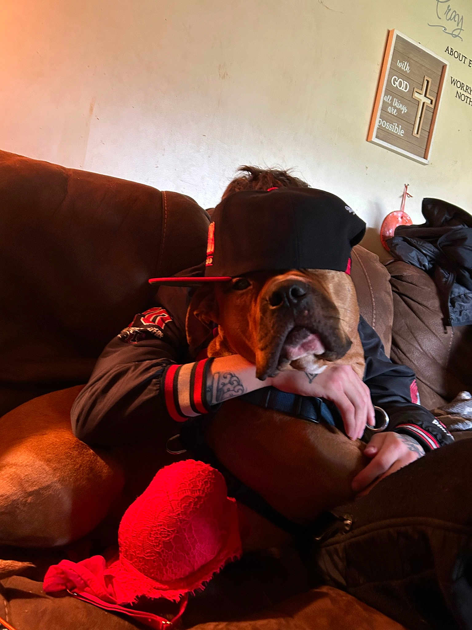 Mateo