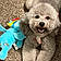 Trixie