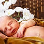 baby, newborn, sleeping, infant, blanket, soft, peaceful, skin, face, hand, flower, white_flower, blurred_background, closeup, rest, relaxation, cute, portrait, tender, warm