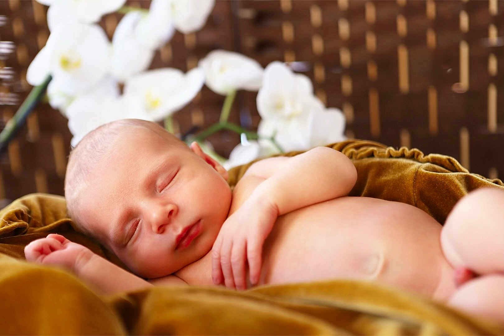 Timao a rejoint le concours — aidez-le/la à gagner de superbes lots ! baby, newborn, sleeping, infant, blanket, soft, peaceful, skin, face, hand, flower, white_flower, blurred_background, closeup, rest, relaxation, cute, portrait, tender, warm