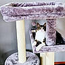 cat, tuxedo_cat, pet, feline, animal, cat_tree, scratching_post, indoor, home, furniture, plush, gray, white, black, brown, sitting, lounging, wide_eyes, paw, portrait