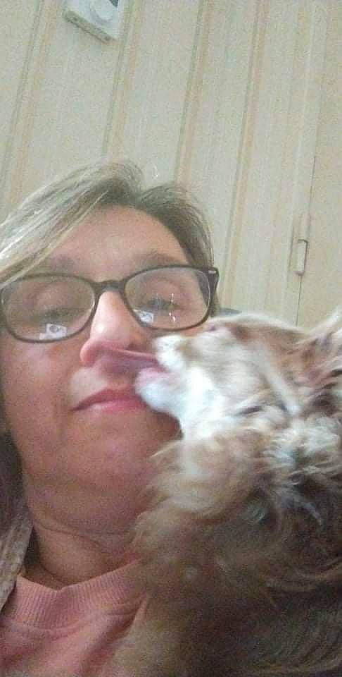 Lady a rejoint le concours — aidez-le/la à gagner de superbes lots ! carnivore, cat, comfort, ear, eyebrow, eyelash, eyewear, face, fawn, felidae, glasses, hair, iris, jaw, lip, nose, skin, small_to_medium_sized_cats, vision_care, whiskers