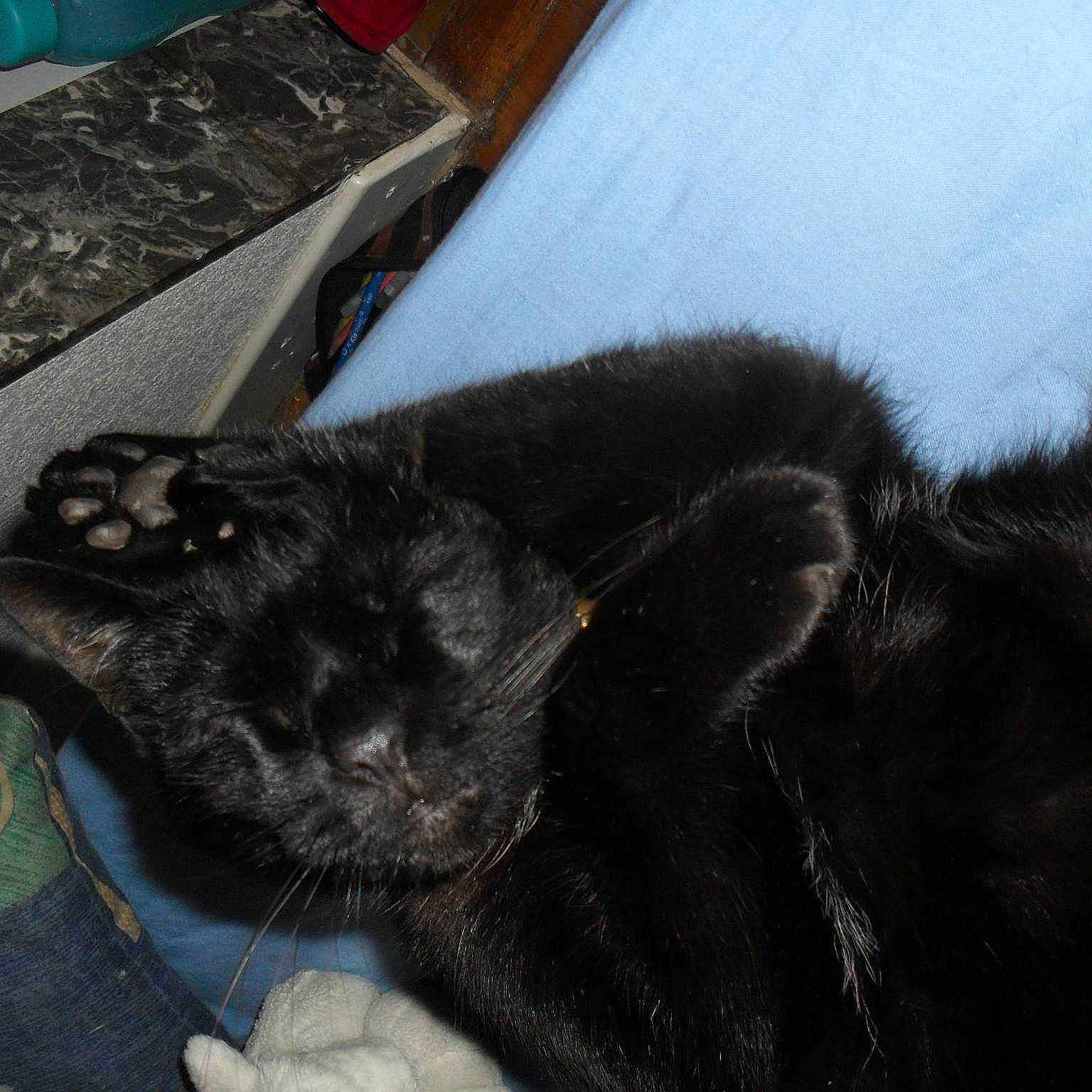 Bouba