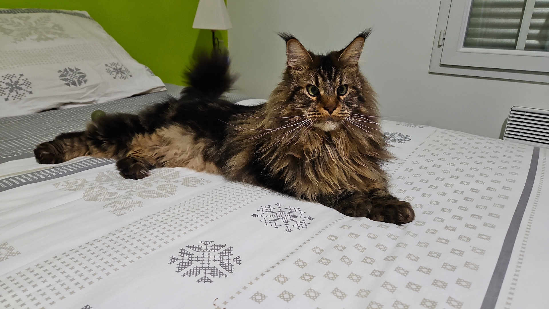 Tigrou