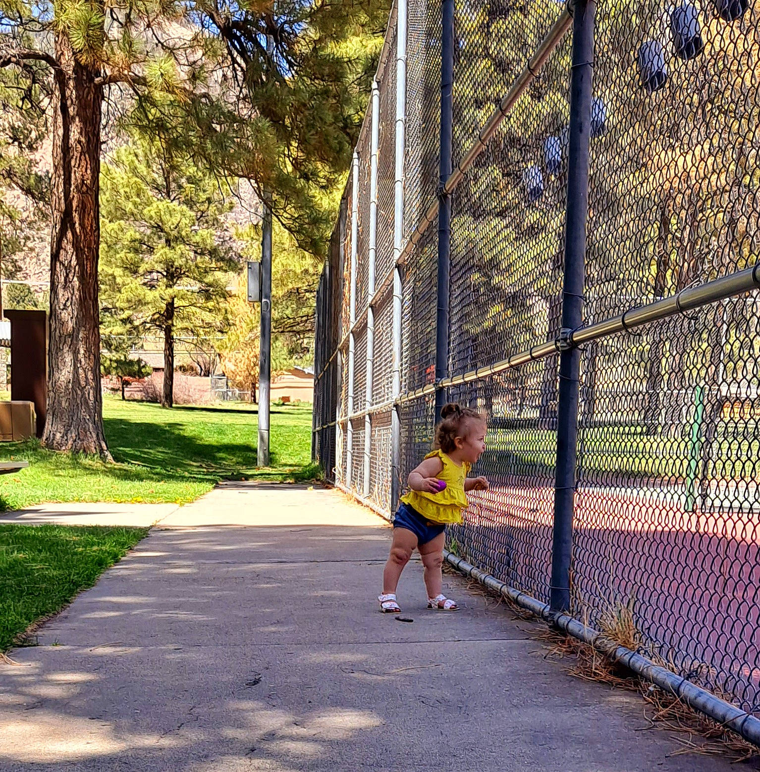 Macie is registered to the contest to win money with this photo: chain_link_fencing, city, fence, grass, home_fencing, leisure, mesh, person, plant, recreation, road, road_surface, shade, shorts, sidewalk, tints_and_shades, tree, trunk, walkway, wire_fencing