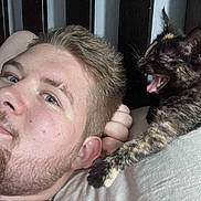 Buddie is registered to the contest to win money with this photo: man, face, kitten, cat, tortoiseshell_cat, pet, lying_down, bed, pillow, close_up, young_adult, indoor, animal, feline, beard, hair, expression, resting, cute, playful