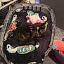cat, sleeping, tortoiseshell_cat, pet_bed, blanket, plush_toy, indoor, carpet, plastic_bed, black_blanket, pink_toy, resting, cozy, animal, feline, cute, home, soft_toy, pet, relaxed