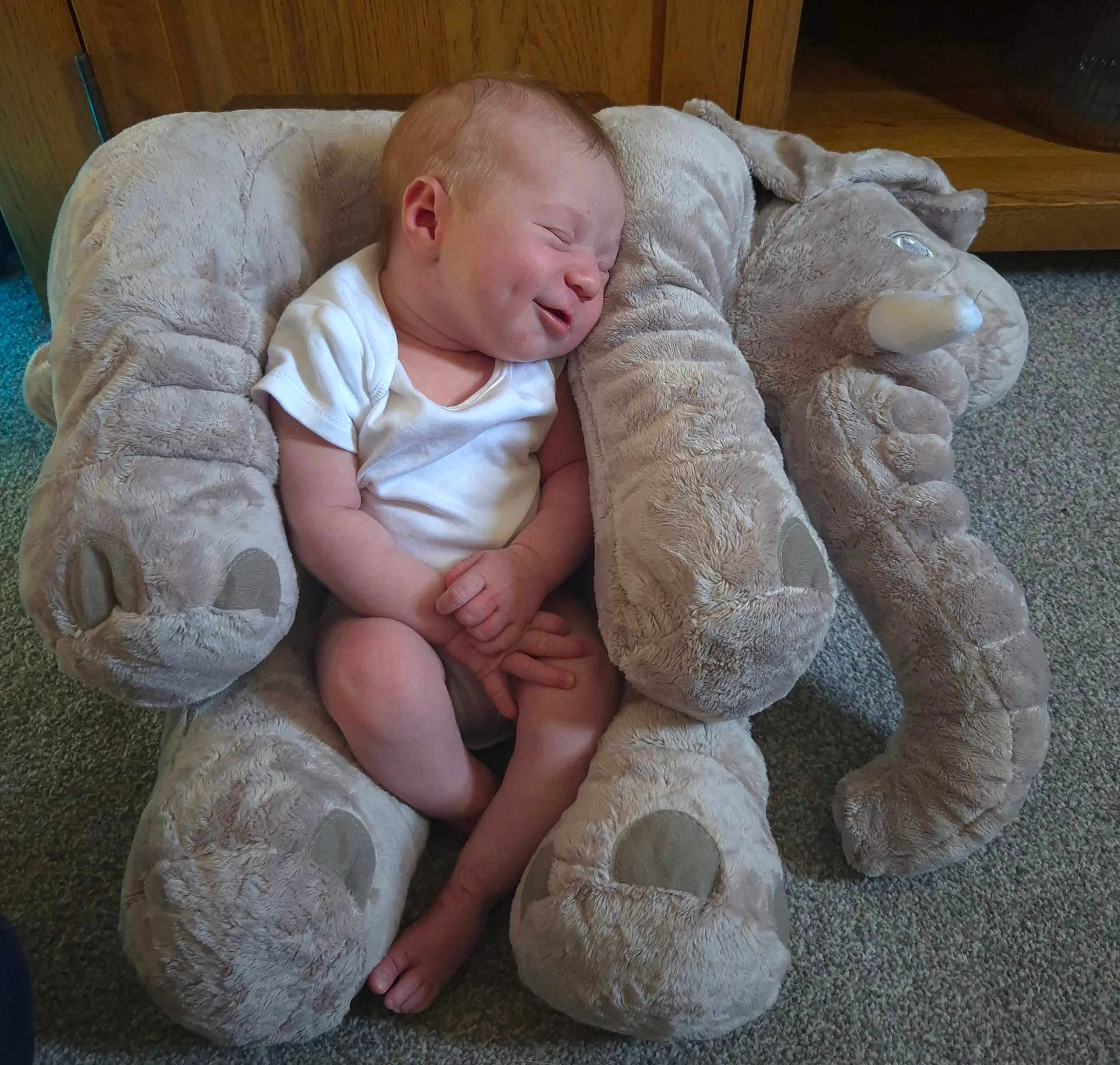Skyla is registered to the contest to win money with this photo: baby, infant, smiling, plush, elephant, stuffed_animal, soft_toy, carpet, wooden_furniture, cozy, indoor, child, white_onesie, cute, sleepy, resting, small, adorable, peaceful, hands